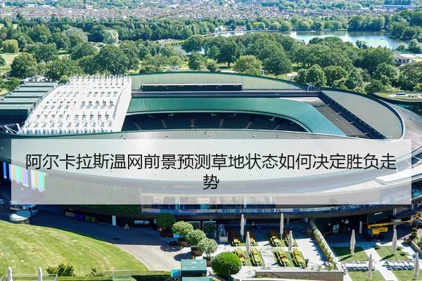 阿尔卡拉斯温网前景预测草地状态如何决定胜负走势